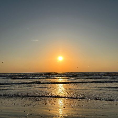 Excelsior Apartaments Mamaia Nord Năvodari Екстериор снимка